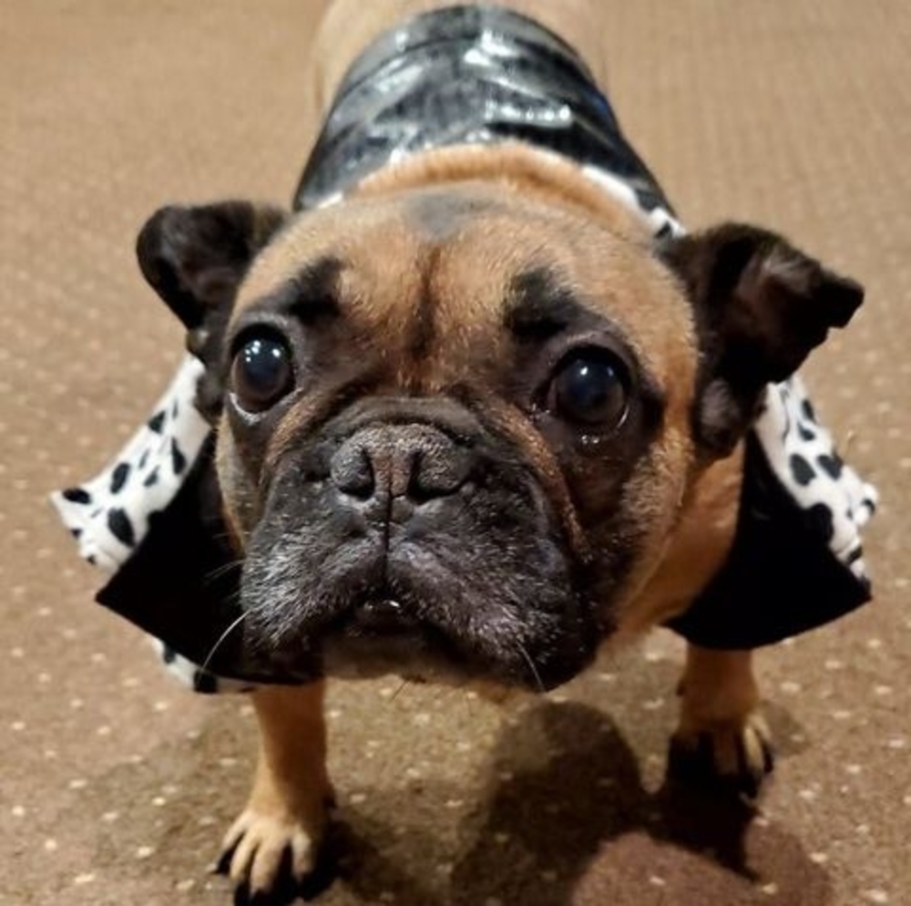 Meet your Posher, Cindi